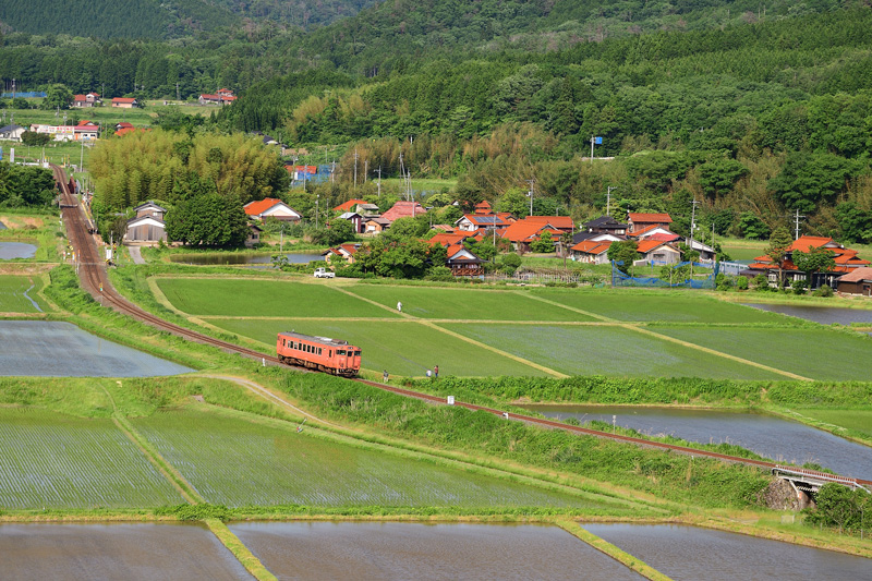 r2025.05.31-da257.jpg