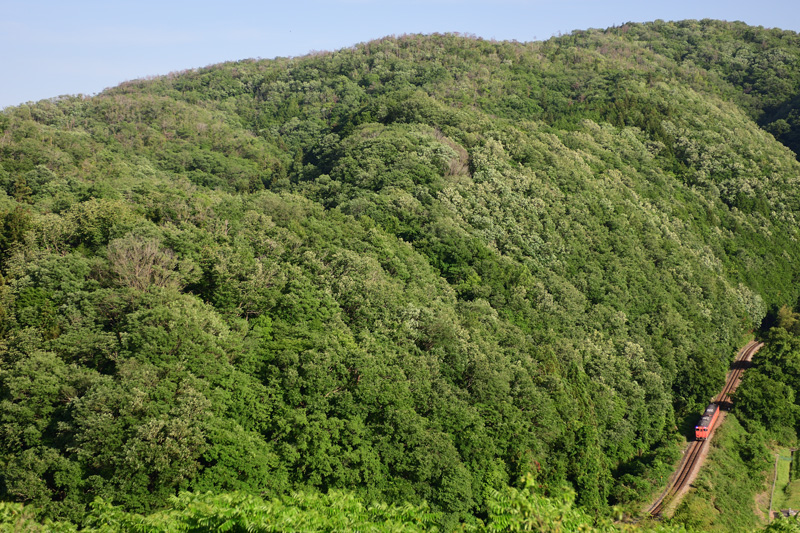 r2025.06.05-d6036.jpg