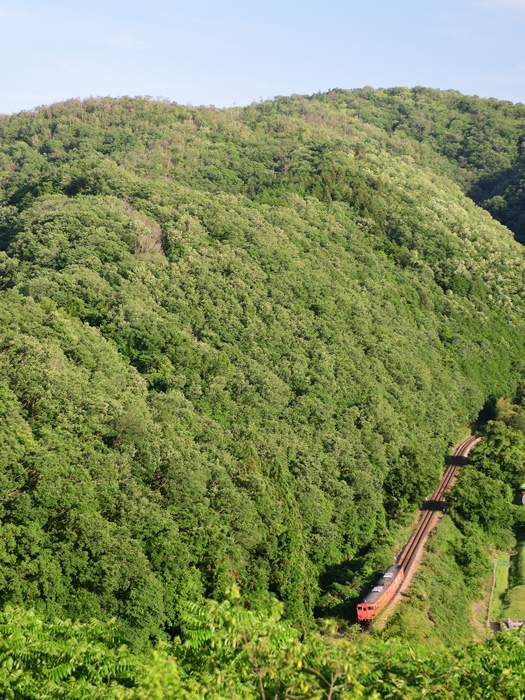 r2025.06.05-d6047.jpg