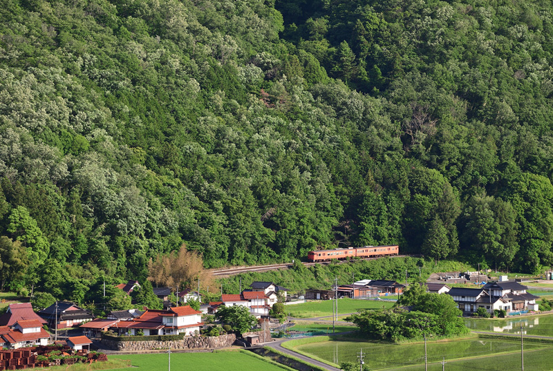 r2025.06.05-da080.jpg