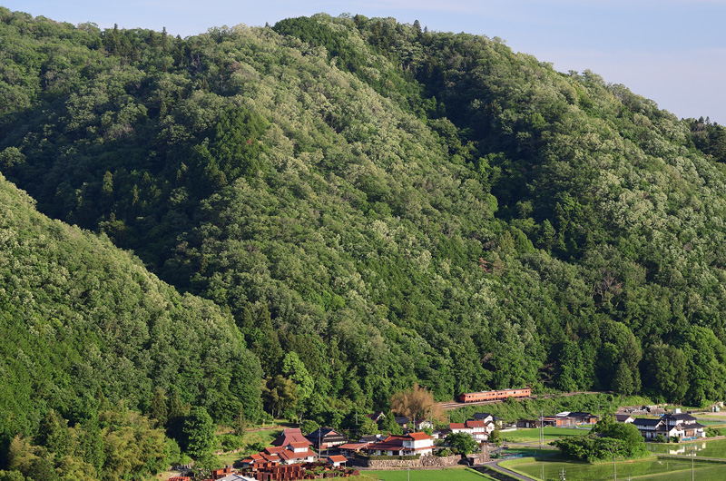 r2025.06.05-da196.jpg