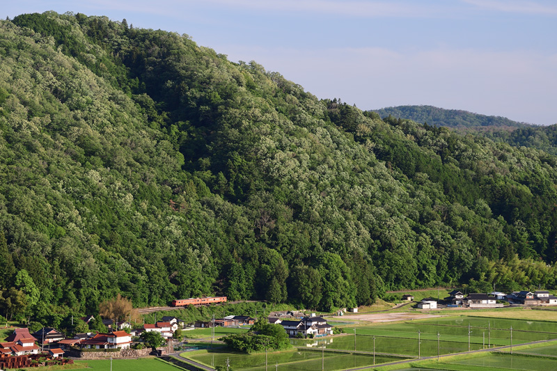 r2025.06.05-da198.jpg