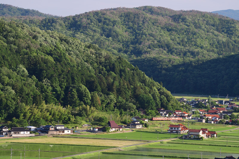 r2025.06.05-da227.jpg
