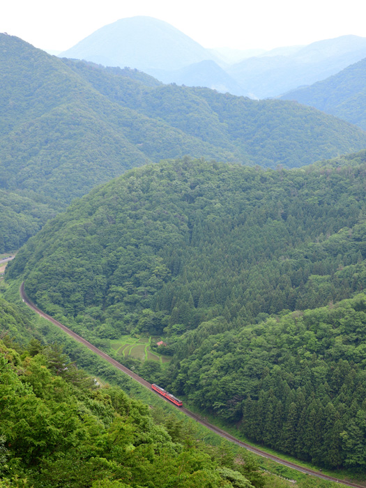 r2025.06.07-d6015.jpg