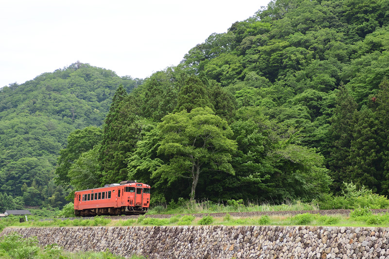 r2025.06.07-da009.jpg