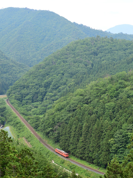 r2025.06.07-da398.jpg