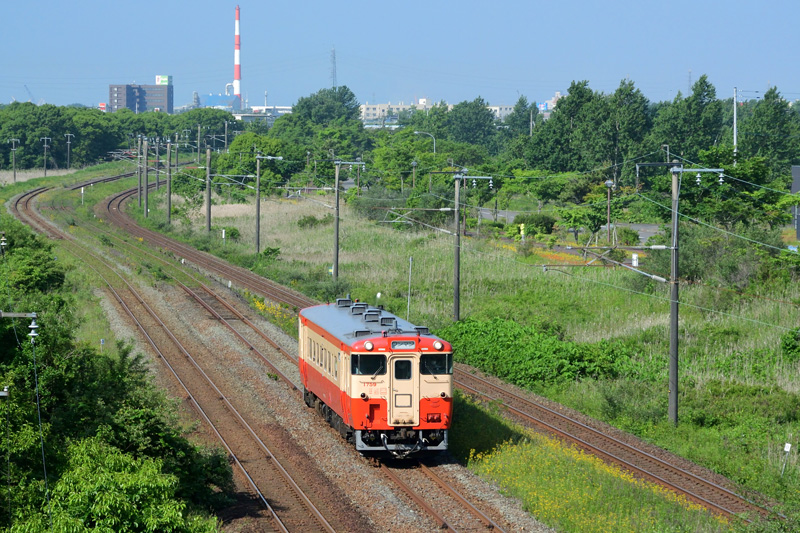 r2025.06.18-d9079.jpg