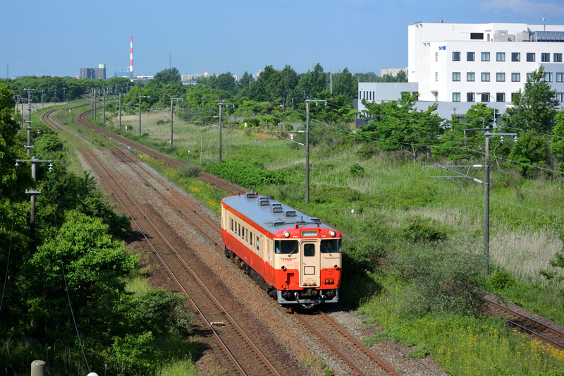 r2025.06.18-d9090.jpg
