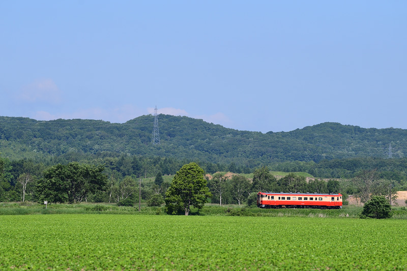 r2025.06.18-da086.jpg