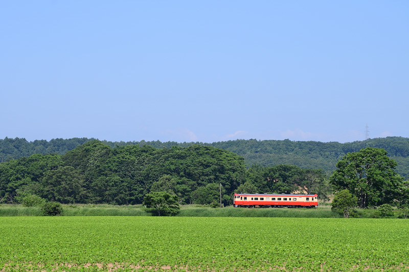 r2025.06.18-da110.jpg