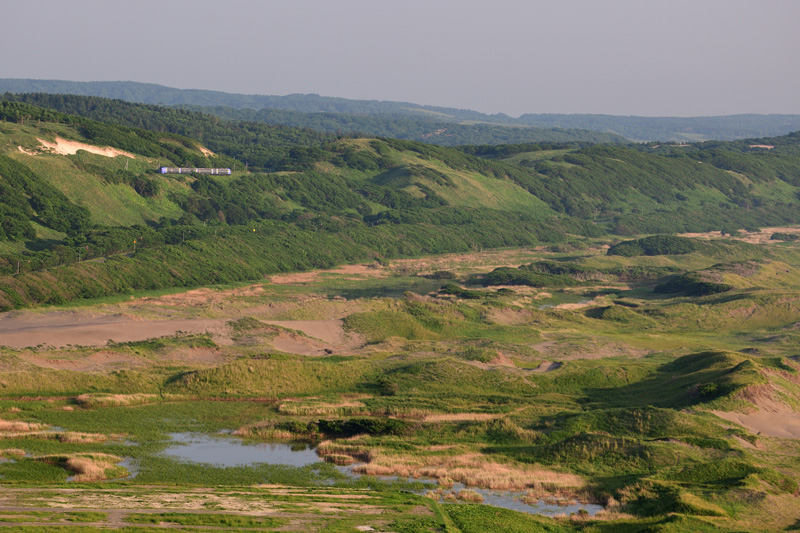 r2025.06.19-d6011.jpg