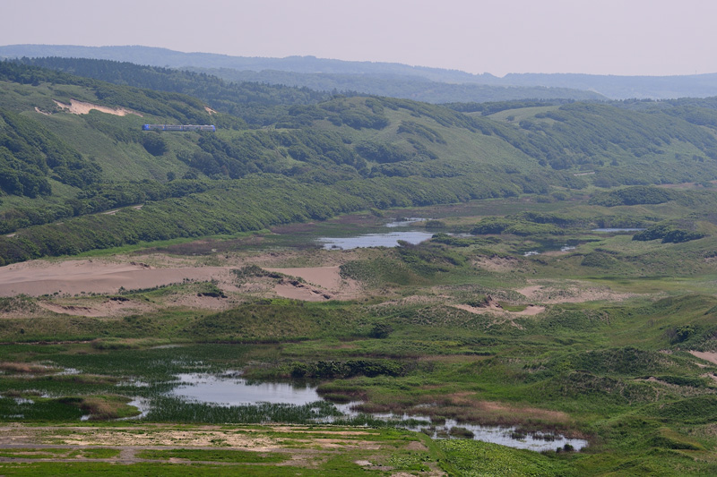 r2025.06.19-da075.jpg