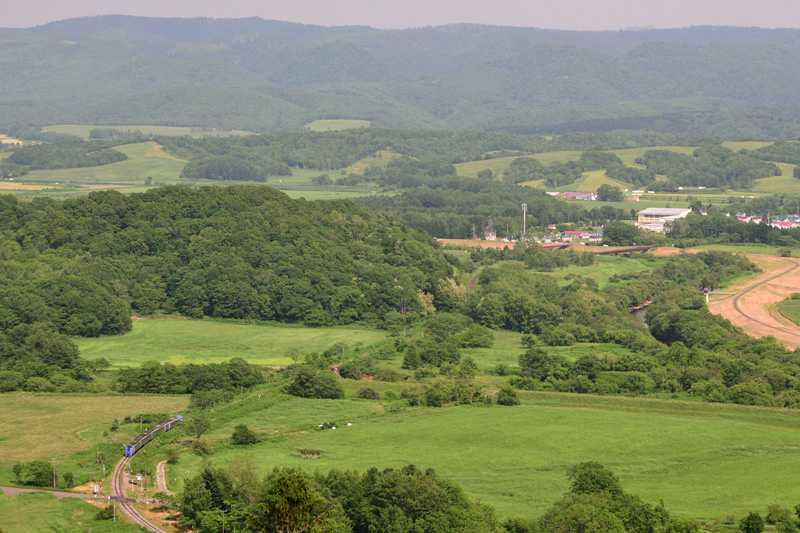 r2025.06.20-d6020.jpg