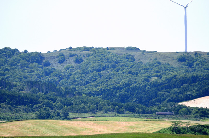 r2025.06.20-da061.jpg