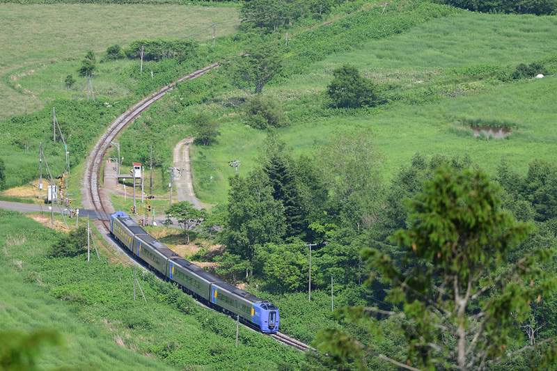 r2025.06.20-da095.jpg