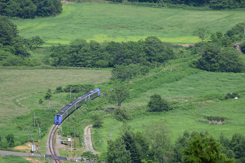 r2025.06.20-da135.jpg