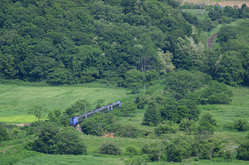 r2025.06.20-da166.jpg