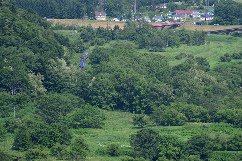 r2025.06.20-da180.jpg