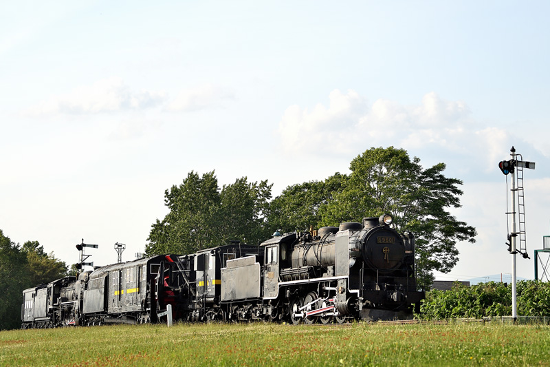 r2025.06.20-da208.jpg