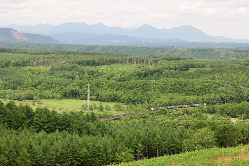 r2025.06.23-d6147.jpg