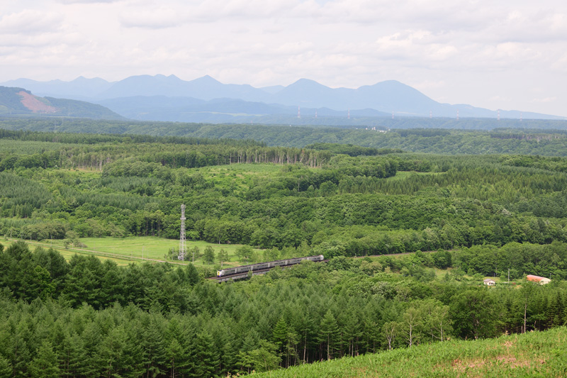 r2025.06.23-d6156.jpg