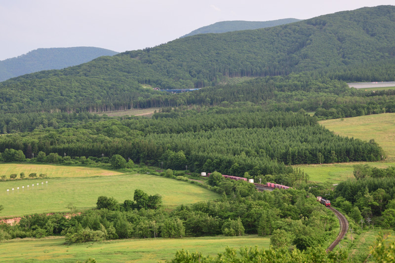 r2025.06.23-d6226.jpg