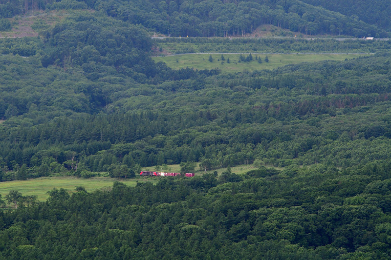 r2025.06.23-da006.jpg