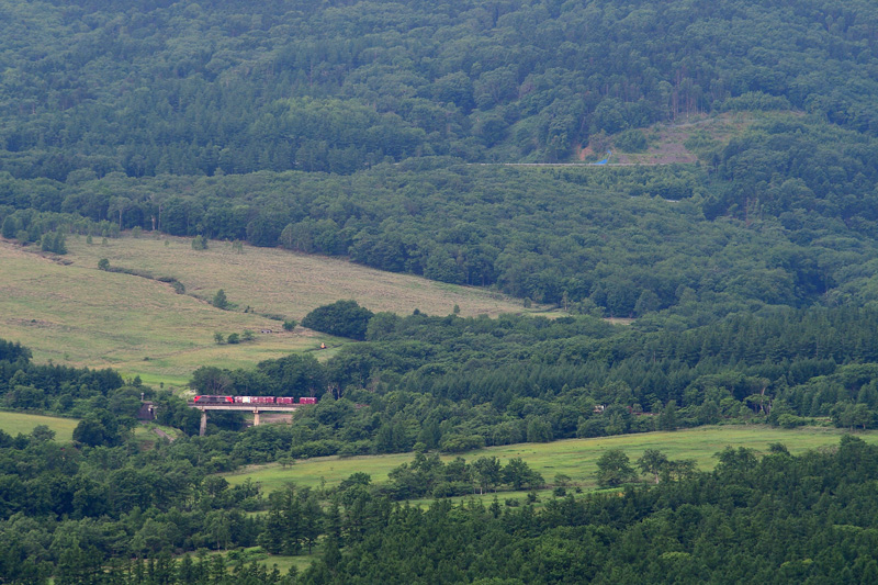r2025.06.23-da018.jpg