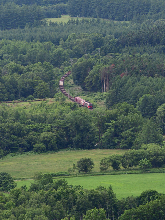 r2025.06.23-da086.jpg