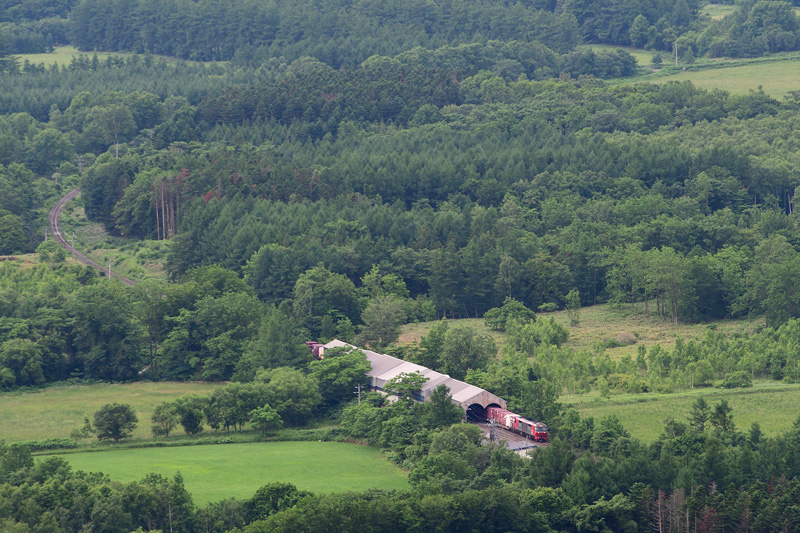 r2025.06.23-da101.jpg