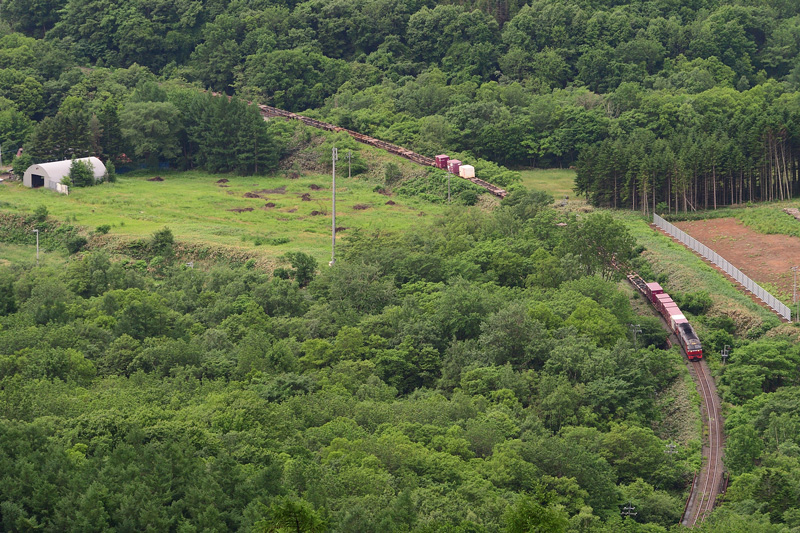 r2025.06.23-da120.jpg