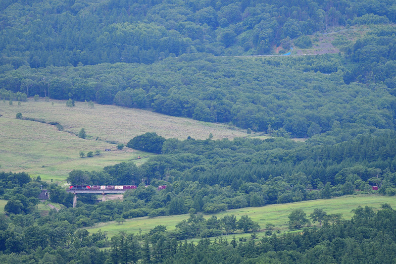 r2025.06.23-da207.jpg