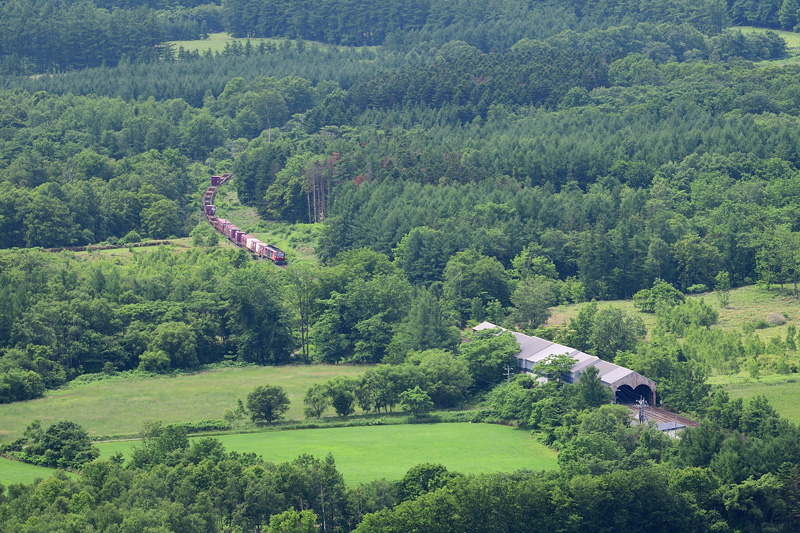 r2025.06.23-da308.jpg