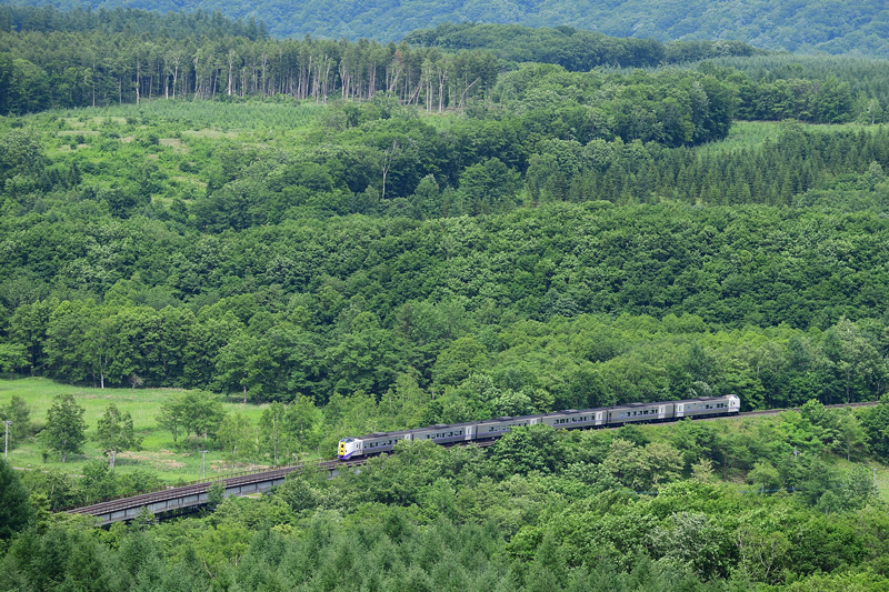 r2025.06.23-da527.jpg