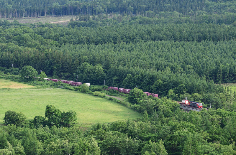 r2025.06.23-da711.jpg