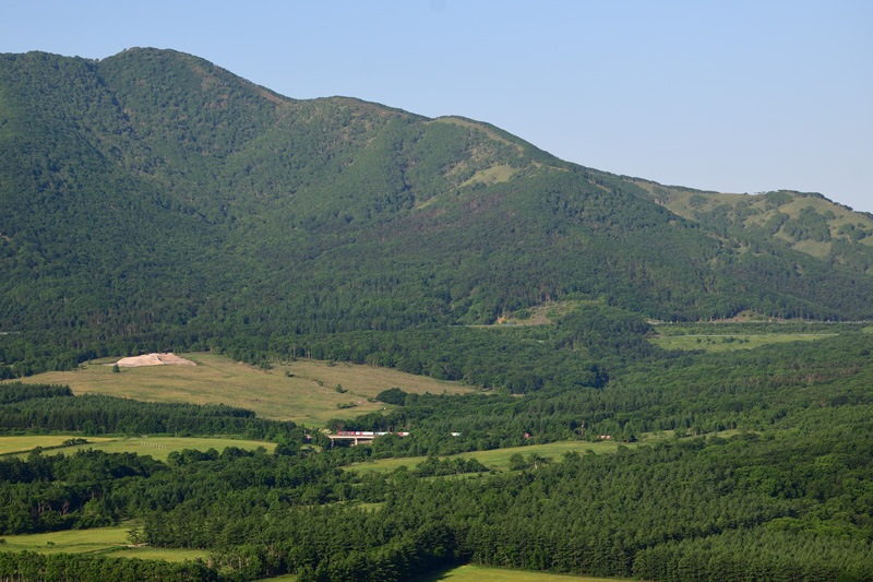 r2025.06.24-d6013.jpg