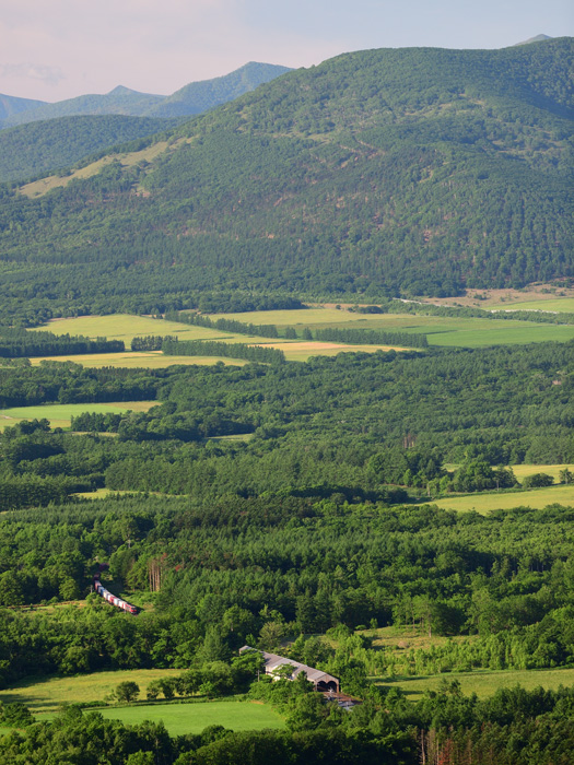 r2025.06.24-d6042.jpg