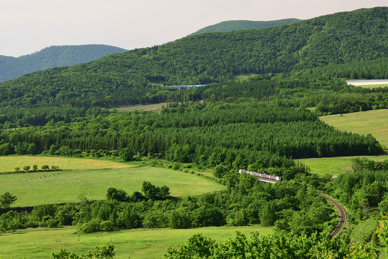 r2025.06.24-d6087.jpg