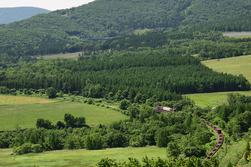 r2025.06.24-d6176.jpg
