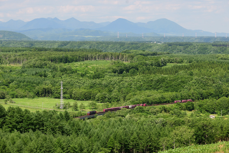 r2025.06.24-d6224.jpg