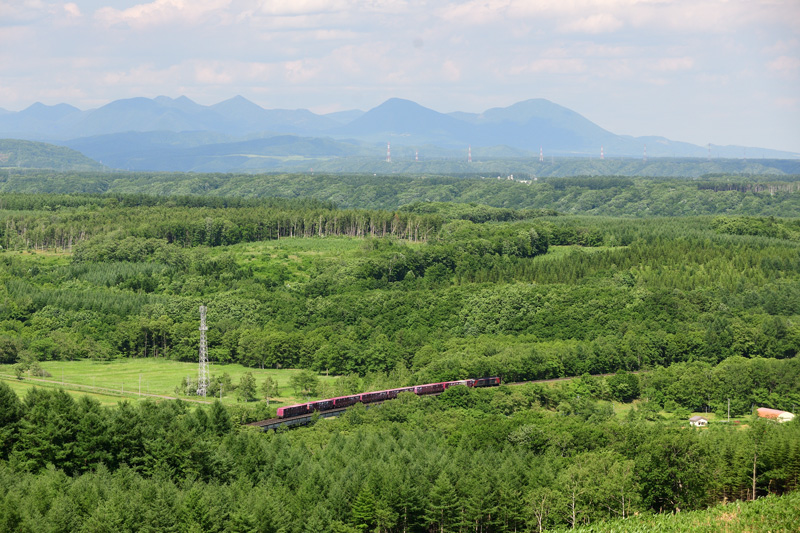 r2025.06.24-d6239.jpg