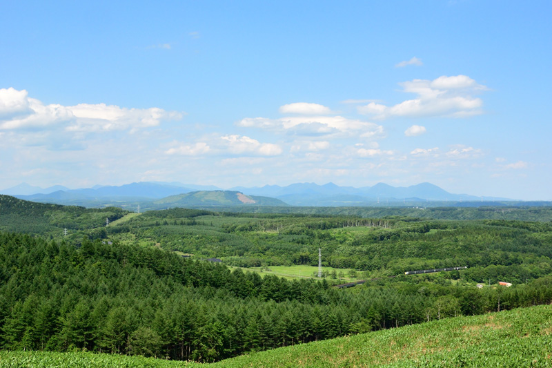 r2025.06.24-d9031.jpg