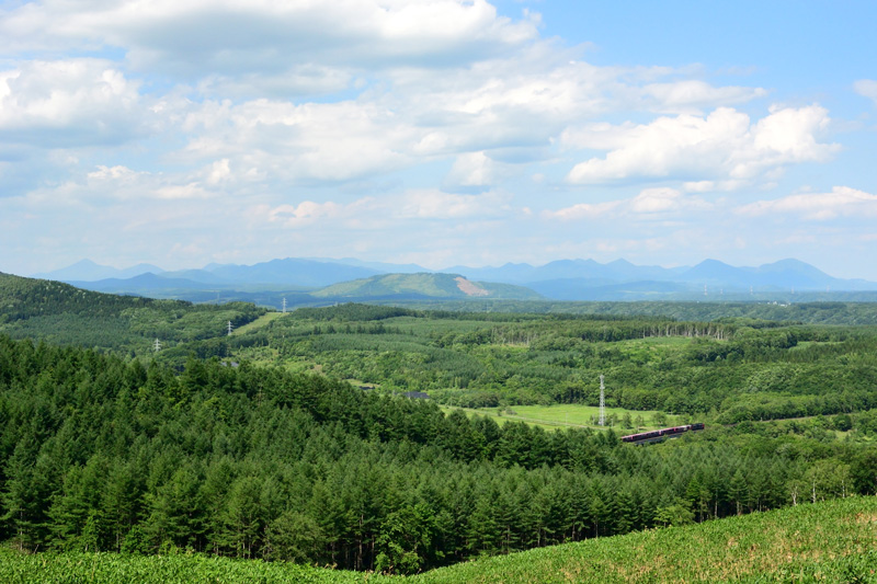r2025.06.24-d9184.jpg
