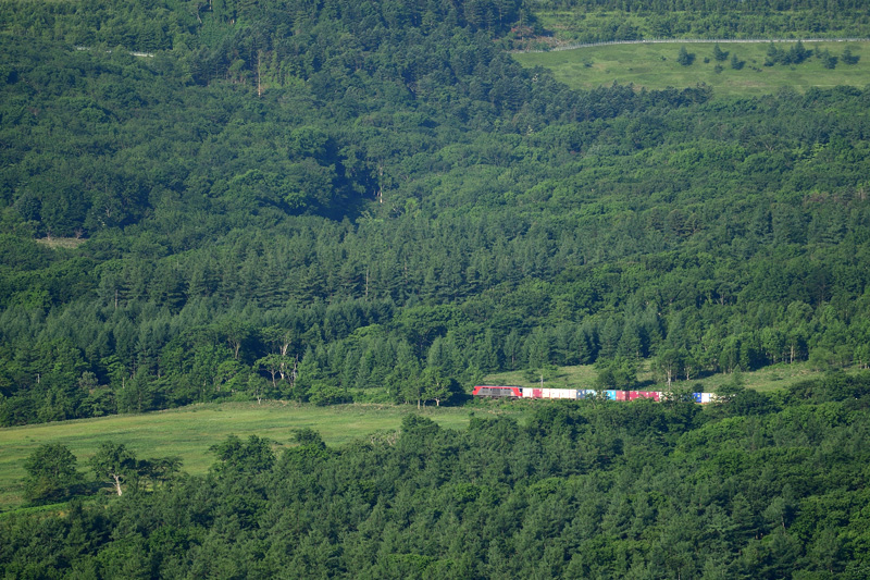 r2025.06.24-da005.jpg