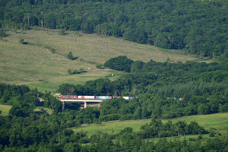 r2025.06.24-da029.jpg