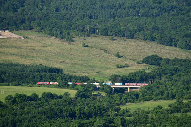 r2025.06.24-da033.jpg
