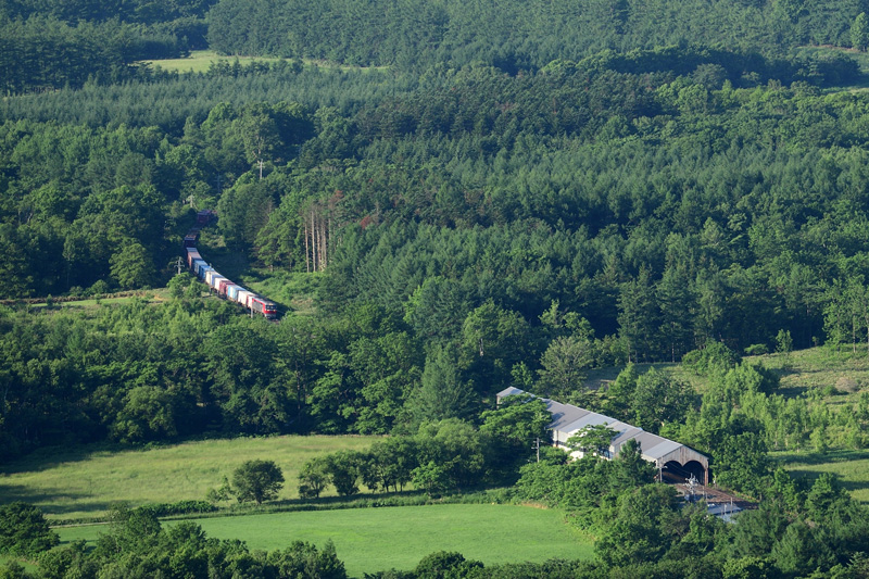 r2025.06.24-da093.jpg
