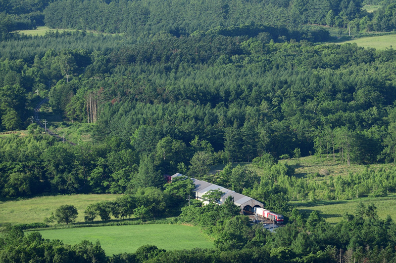 r2025.06.24-da113.jpg