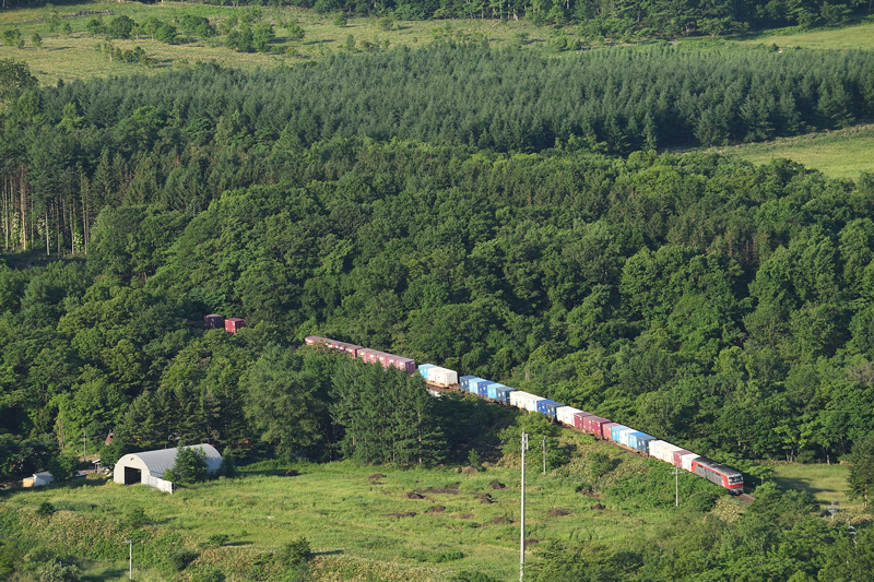 r2025.06.24-da154.jpg