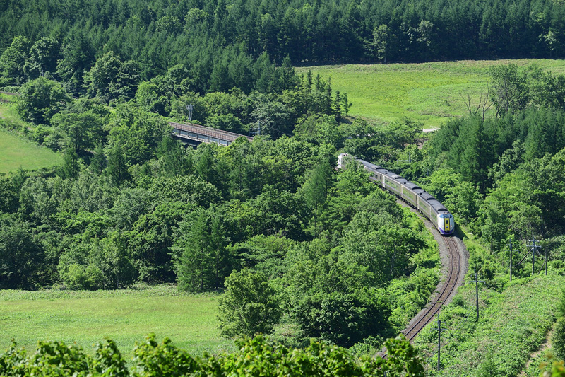 r2025.06.24-da393.jpg